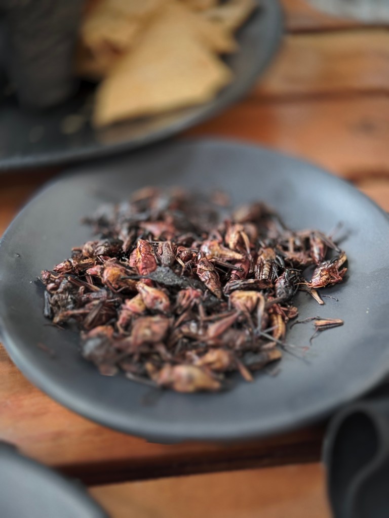 Plate of chapulines, traditional toasted grasshoppers, served in Mexico City.